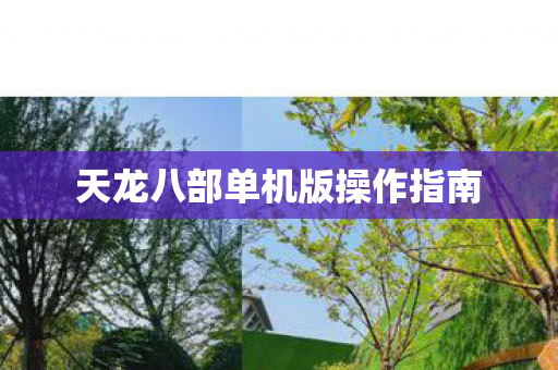 天龙八部单机版操作指南图片