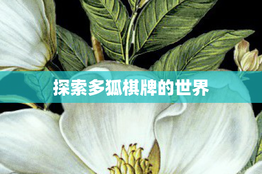 探索多狐棋牌的世界图片