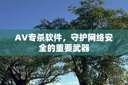 守护网络安全的重要武器图片