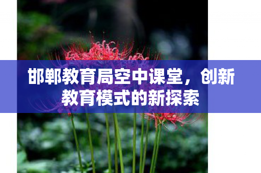 创新教育模式的新探索图片