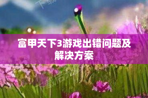 富甲天下3游戏出错问题及解决方案图片