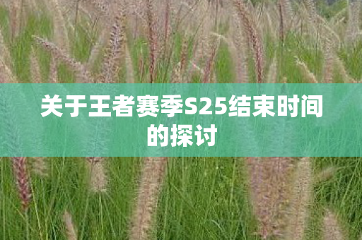 关于王者赛季S25结束时间的探讨图片