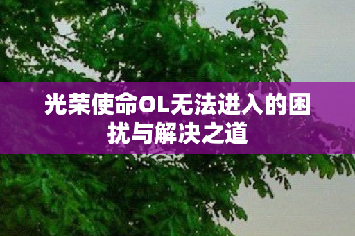 光荣使命OL无法进入的困扰与解决之道图片