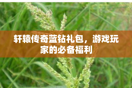 游戏玩家的必备福利图片
