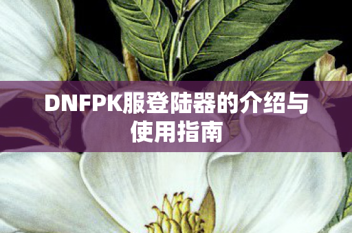 DNFPK服登陆器的介绍与使用指南图片