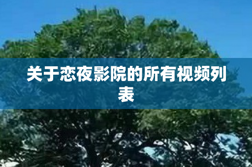 关于恋夜影院的所有视频列表图片