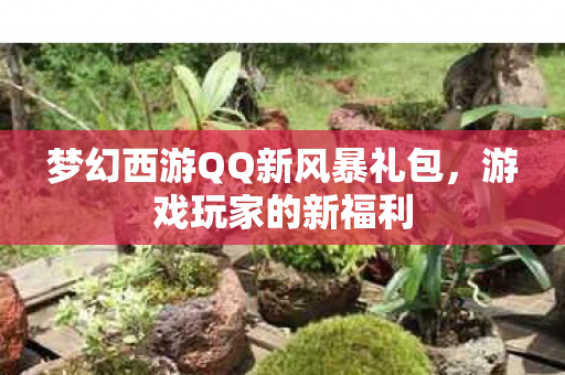 梦幻西游QQ新风暴礼包图片
