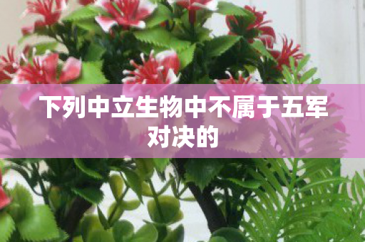 下列中立生物中不属于五军对决的图片