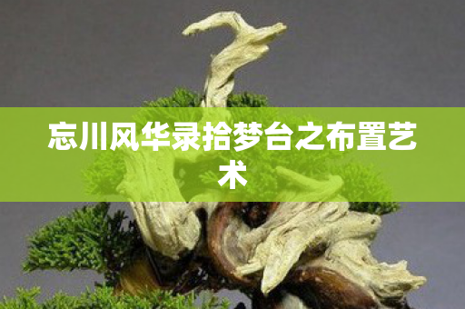 忘川风华录拾梦台之布置艺术图片
