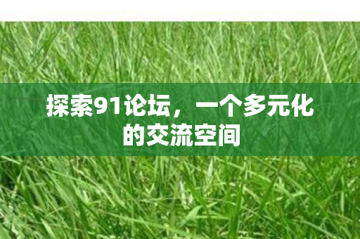 一个多元化的交流空间图片