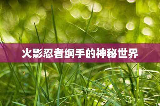 火影忍者纲手的神秘世界图片