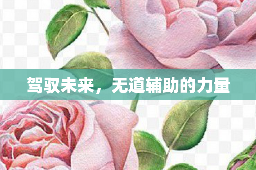 无道辅助的力量图片