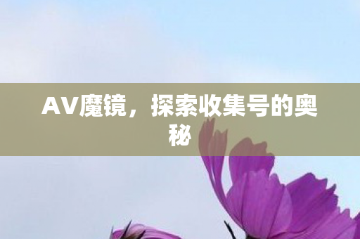 探索收集号的奥秘图片