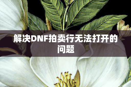 解决DNF拍卖行无法打开的问题图片