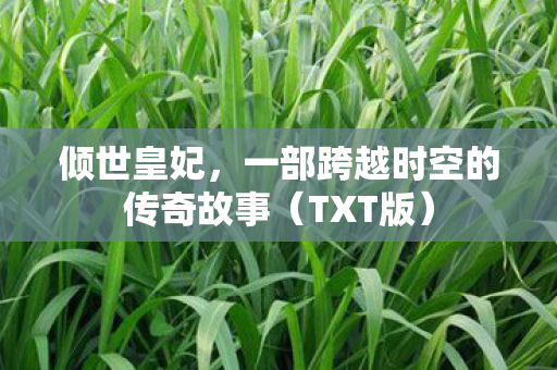 一部跨越时空的传奇故事图片