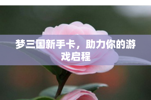 助力你的游戏启程图片