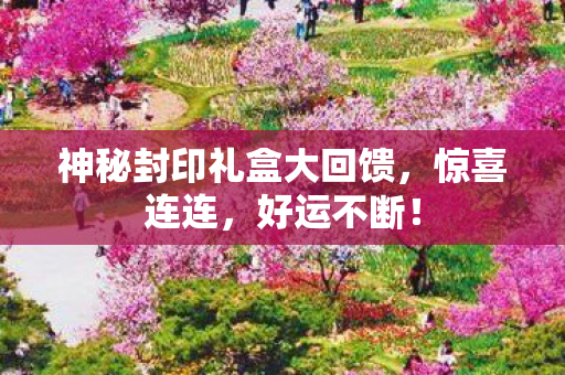 神秘封印礼盒大回馈图片
