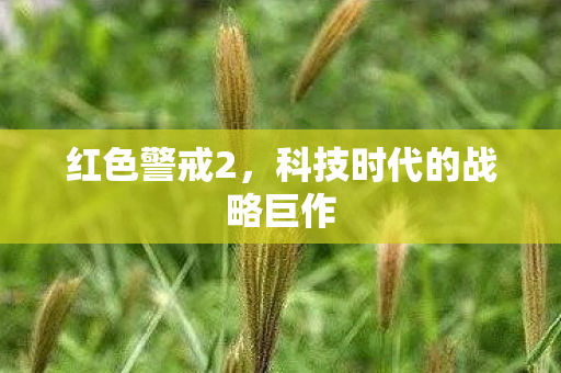 科技时代的战略巨作图片