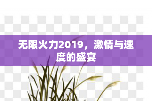 无限火力2019图片