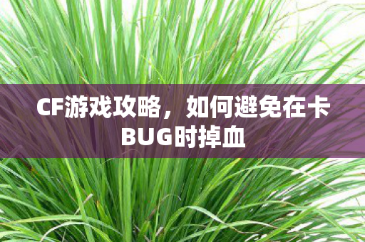 如何避免在卡BUG时掉血图片