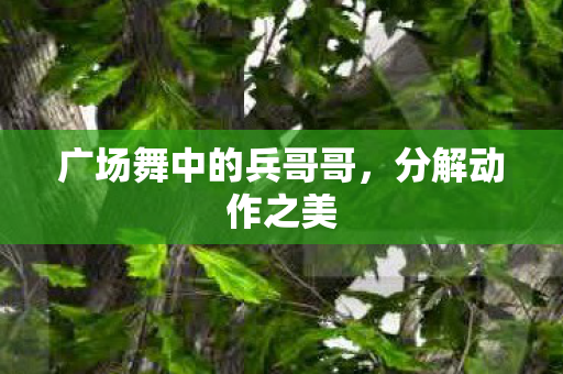 广场舞中的兵哥哥图片