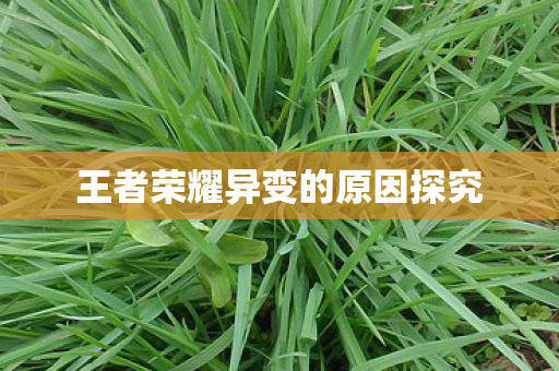 王者荣耀异变的原因探究图片