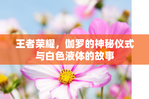 伽罗的神秘仪式与白色液体的故事图片