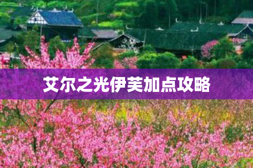 艾尔之光伊芙加点攻略图片