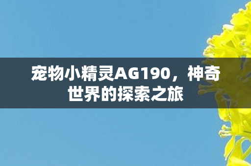 宠物小精灵AG190图片