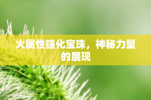 火属性强化宝珠图片