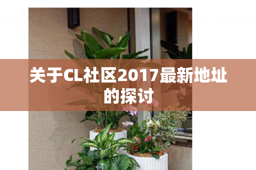 关于CL社区2017最新地址的探讨图片