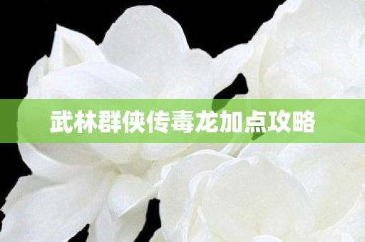 武林群侠传毒龙加点攻略图片