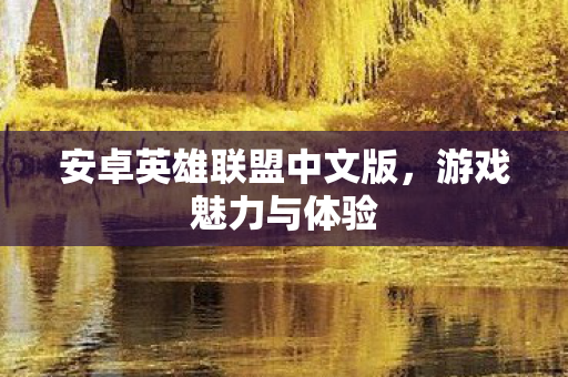 安卓英雄联盟中文版图片