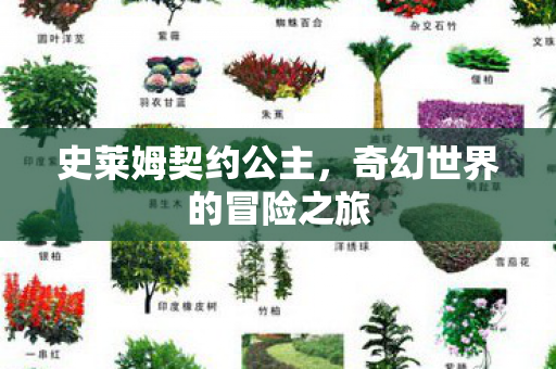 奇幻世界的冒险之旅图片
