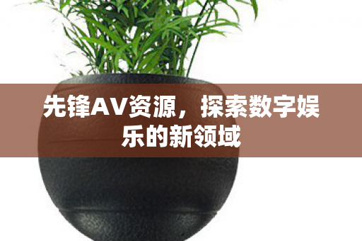 探索数字娱乐的新领域图片