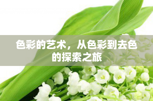 从色彩到去色的探索之旅图片