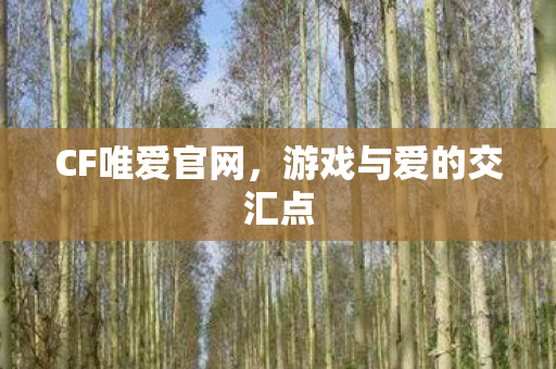 游戏与爱的交汇点图片