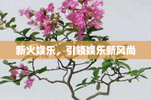 引领娱乐新风尚图片