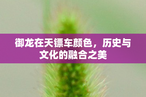 历史与文化的融合之美图片