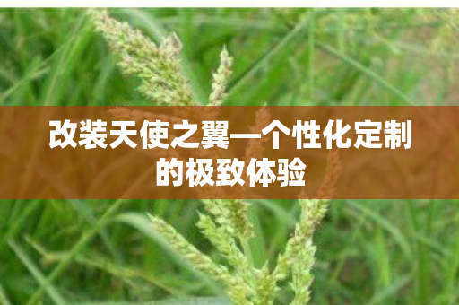 个性化定制的极致体验图片