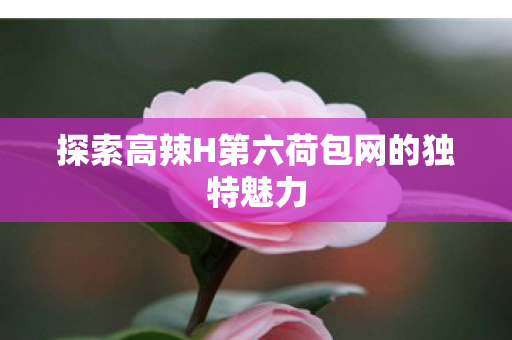 探索高辣H第六荷包网的独特魅力图片
