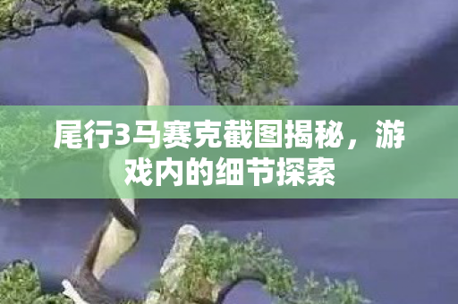 尾行3马赛克截图揭秘图片
