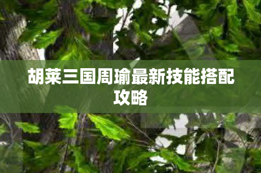 胡莱三国周瑜最新技能搭配攻略图片