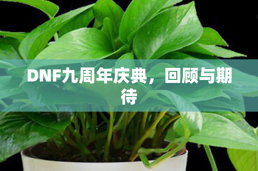 DNF九周年庆典图片