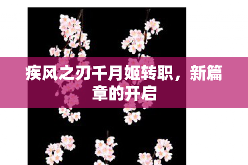 疾风之刃千月姬转职图片