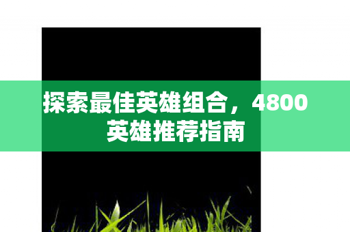 4800英雄推荐指南图片