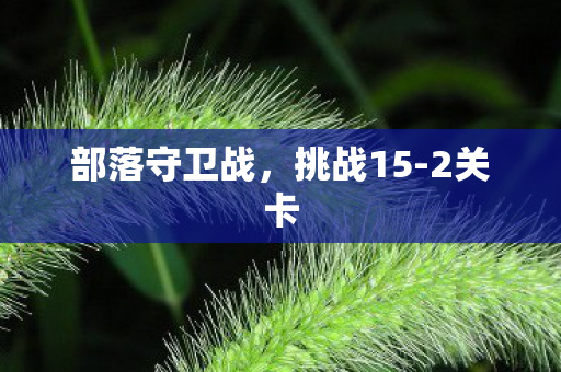 部落守卫战图片