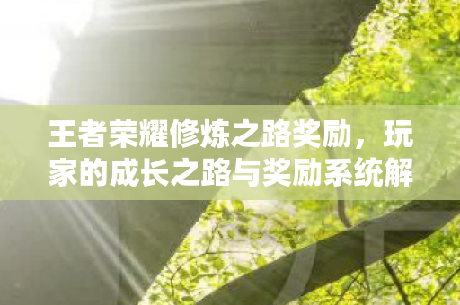 玩家的成长之路与奖励系统解析图片