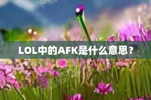 LOL中的AFK是什么意思图片