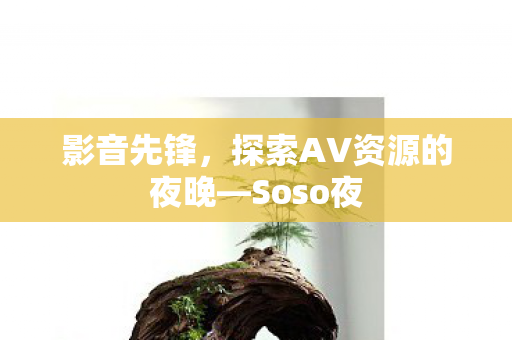 探索AV资源的夜晚图片